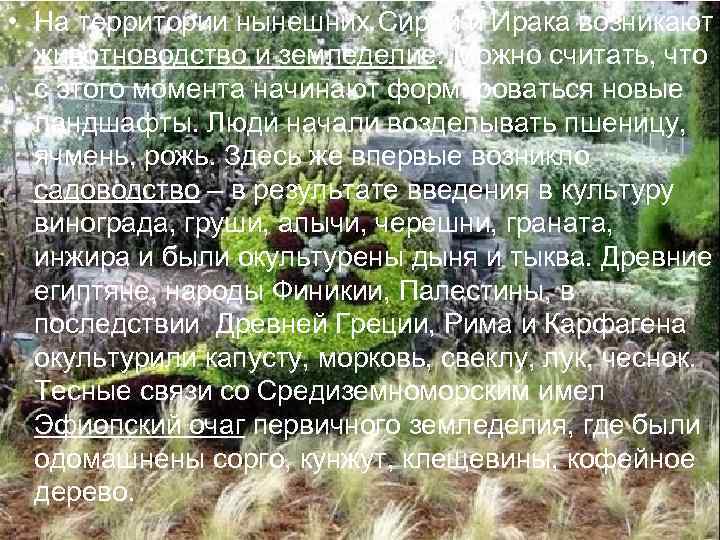  • На территории нынешних Сирии и Ирака возникают  животноводство и земледелие. Можно