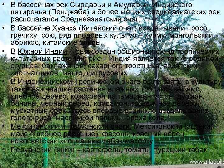  • В бассейнах рек Сырдарьи и Амударьи, Индийского  пятиречья (Пенджаба) и более