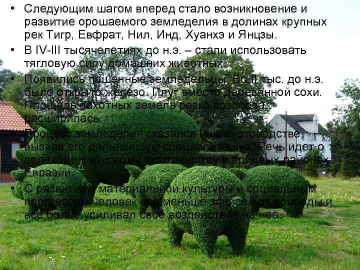  • Следующим шагом вперед стало возникновение и  развитие орошаемого земледелия в долинах