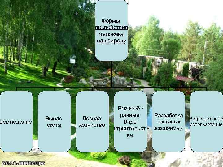      Формы      воздействия  