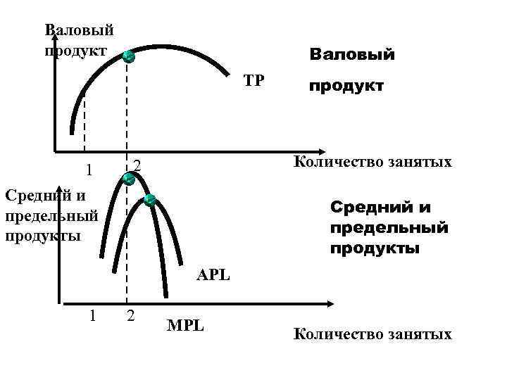   Валовый продукт     Валовый     