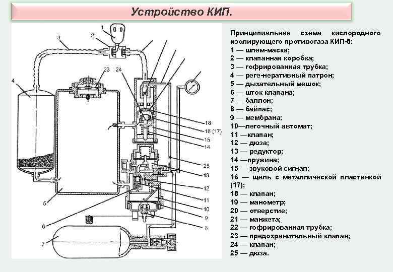 Устройство КИП. Принципиальная схема кислородного изолирующего противогаза КИП Устройство КИП. Принципиальная схема кислородного изолирующего противогаза КИП