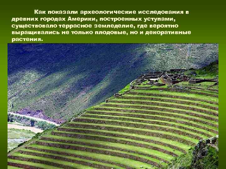 Как показали археологические исследования в древних городах Америки, построенных уступами, существовало террасное земледелие, Как показали археологические исследования в древних городах Америки, построенных уступами, существовало террасное земледелие,