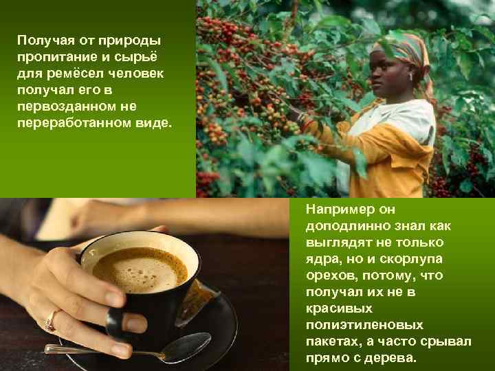 Получая от природы пропитание и сырьё для ремёсел человек получал его в первозданном не Получая от природы пропитание и сырьё для ремёсел человек получал его в первозданном не