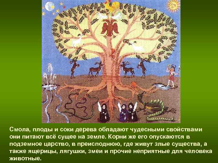 Смола, плоды и соки дерева обладают чудесными свойствами они питают всё сущее на земле. Смола, плоды и соки дерева обладают чудесными свойствами они питают всё сущее на земле.