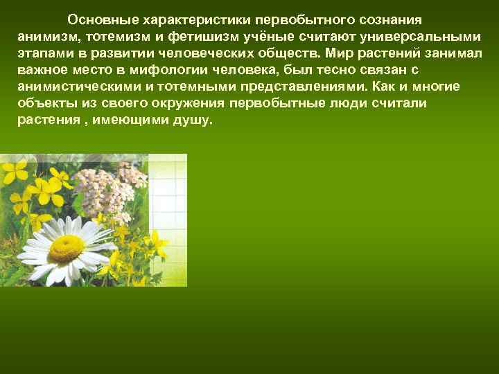 Основные характеристики первобытного сознания анимизм, тотемизм и фетишизм учёные считают универсальными этапами в Основные характеристики первобытного сознания анимизм, тотемизм и фетишизм учёные считают универсальными этапами в
