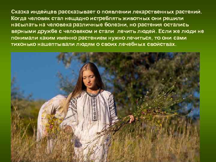 Сказка индейцев рассказывает о появлении лекарственных растений. Когда человек стал нещадно истреблять животных Сказка индейцев рассказывает о появлении лекарственных растений. Когда человек стал нещадно истреблять животных