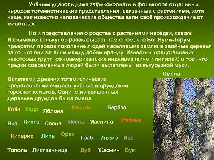 Учёным удалось даже зафиксировать в фольклоре отдельных народов тотемистические представления, связанные с Учёным удалось даже зафиксировать в фольклоре отдельных народов тотемистические представления, связанные с