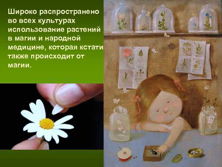 Широко распространено во всех культурах использование растений в магии и народной медицине, которая кстати Широко распространено во всех культурах использование растений в магии и народной медицине, которая кстати