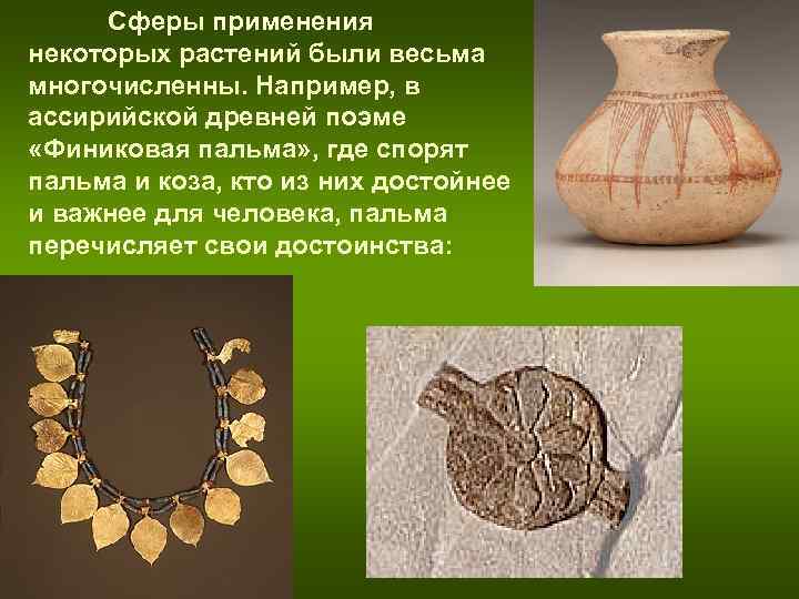 Сферы применения некоторых растений были весьма многочисленны. Например, в ассирийской древней поэме Сферы применения некоторых растений были весьма многочисленны. Например, в ассирийской древней поэме