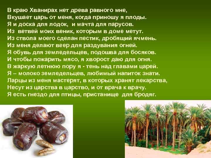 В краю Хванирах нет древа равного мне, Вкушает царь от меня, когда приношу В краю Хванирах нет древа равного мне, Вкушает царь от меня, когда приношу