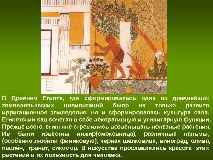 В Древнем Египте, где сформировалась одна из древнейших земледельческих цивилизаций было не только В Древнем Египте, где сформировалась одна из древнейших земледельческих цивилизаций было не только