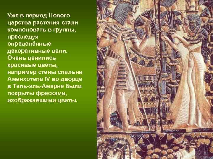 Уже в период Нового царства растения стали компоновать в группы, преследуя определённые декоративные Уже в период Нового царства растения стали компоновать в группы, преследуя определённые декоративные