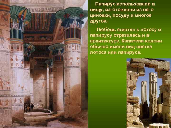 Папирус использовали в пищу, изготовляли из него циновки, посуду и многое другое. Папирус использовали в пищу, изготовляли из него циновки, посуду и многое другое.