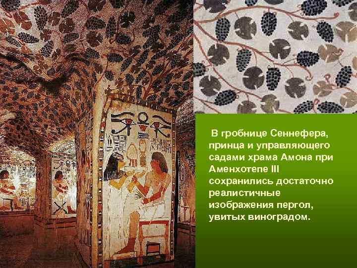 В гробнице Сеннефера, принца и управляющего садами храма Амона при Аменхотепе III В гробнице Сеннефера, принца и управляющего садами храма Амона при Аменхотепе III