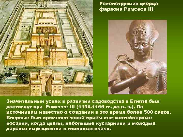 Реконструкция дворца Реконструкция дворца