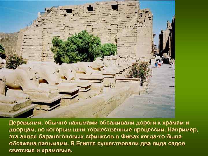 Деревьями, обычно пальмами обсаживали дороги к храмам и дворцам, по которым шли торжественные процессии. Деревьями, обычно пальмами обсаживали дороги к храмам и дворцам, по которым шли торжественные процессии.