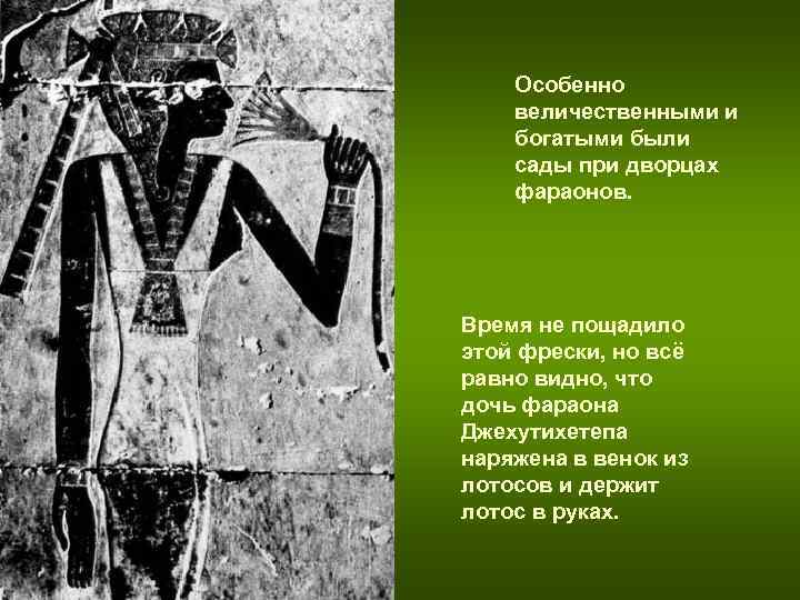 Особенно величественными и богатыми были сады при дворцах фараонов. Время не пощадило Особенно величественными и богатыми были сады при дворцах фараонов. Время не пощадило