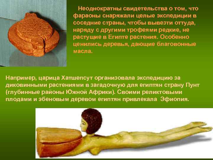 Неоднократны свидетельства о том, что фараоны Неоднократны свидетельства о том, что фараоны