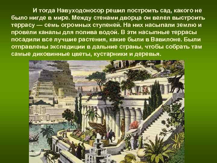 И тогда Навуходоносор решил построить сад, какого не было нигде в мире. Между И тогда Навуходоносор решил построить сад, какого не было нигде в мире. Между