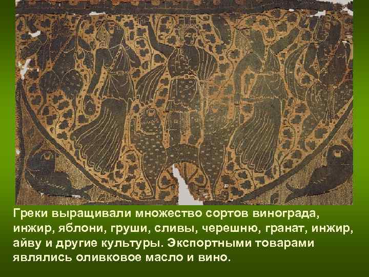 Греки выращивали множество сортов винограда, инжир, яблони, груши, сливы, черешню, гранат, инжир, Греки выращивали множество сортов винограда, инжир, яблони, груши, сливы, черешню, гранат, инжир,