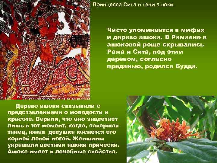 Принцесса Сита в тени ашоки. Принцесса Сита в тени ашоки.