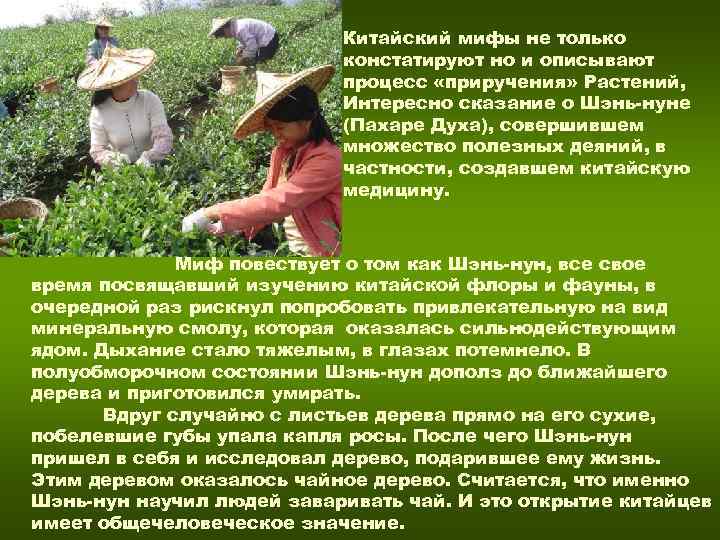 Китайский мифы не только Китайский мифы не только