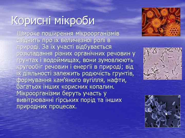 Корисні мікроби Широке поширення мікроорганізмів свідчить про їх величезної ролі в природі. За їх