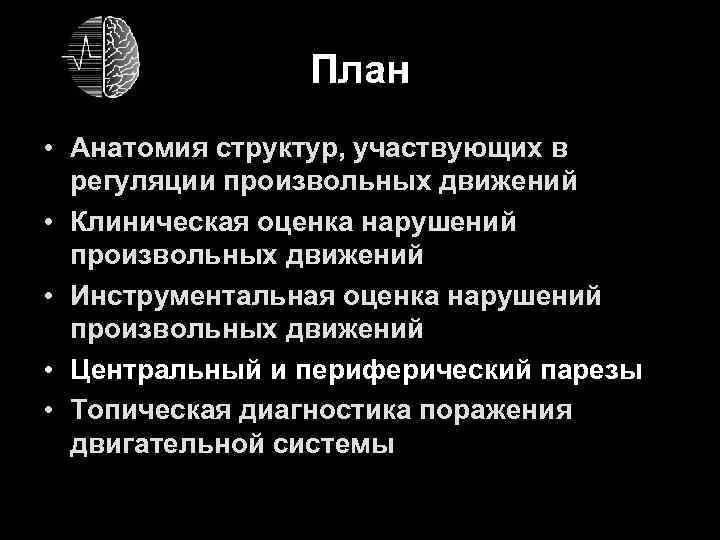 План • Анатомия структур, участвующих в регуляции произвольных движений План • Анатомия структур, участвующих в регуляции произвольных движений