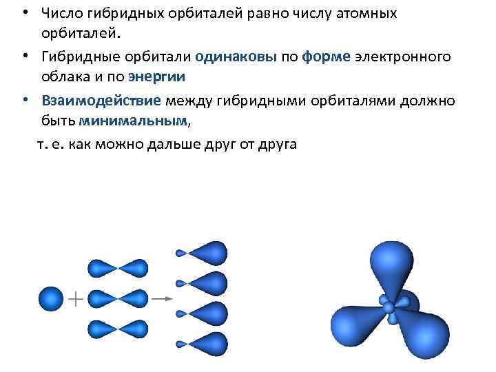  • Число гибридных орбиталей равно числу атомных  орбиталей.  • Гибридные орбитали