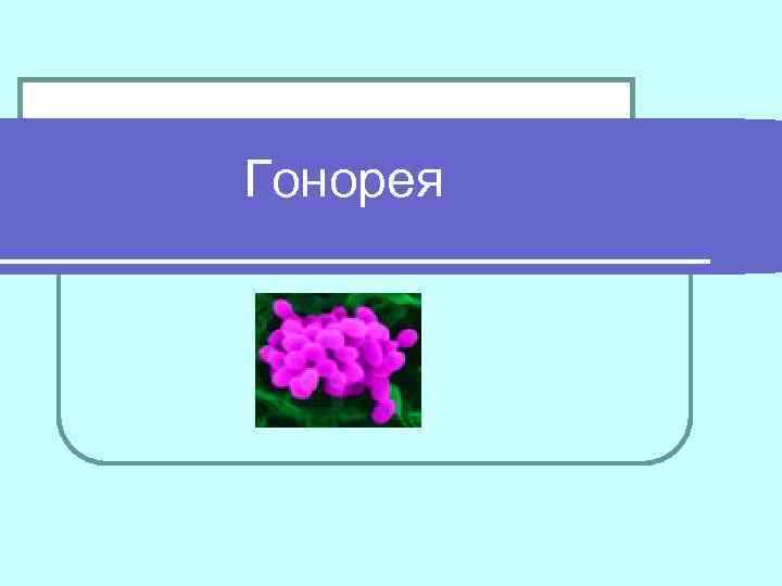 Гонорея 