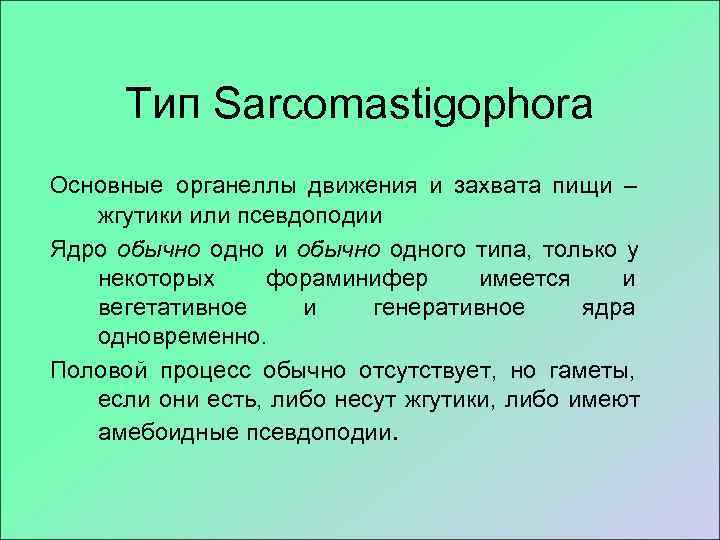  Тип Sarcomastigophora Основные органеллы движения и захвата пищи –  жгутики или псевдоподии