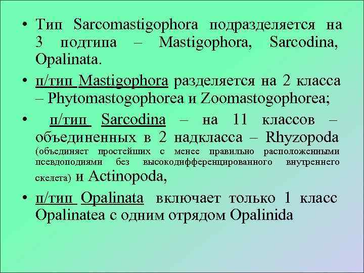  • Тип Sarcomastigophora подразделяется на  3 подтипа – Mastigophora, Sarcodina,  Opalinata.