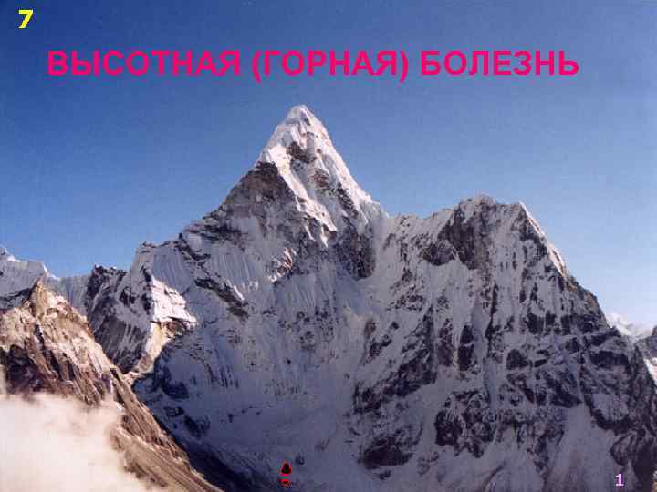 7 ВЫСОТНАЯ (ГОРНАЯ) БОЛЕЗНЬ       1 