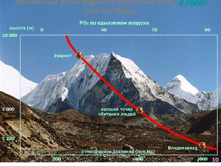   Изменения атмосферного давления и РО 2 в горах    (по