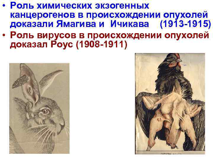  • Роль химических экзогенных  канцерогенов в происхождении опухолей  доказали Ямагива и