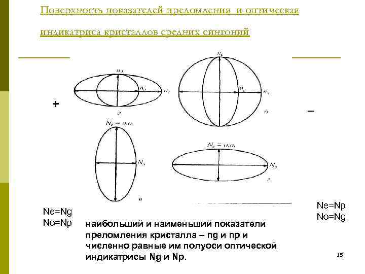 Поверхность показателей преломления и оптическая индикатриса кристаллов средних сингоний  +   