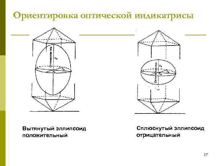 Ориентировка оптической индикатрисы Вытянутый эллипсоид  Сплюснутый эллипсоид положительный   отрицательный  