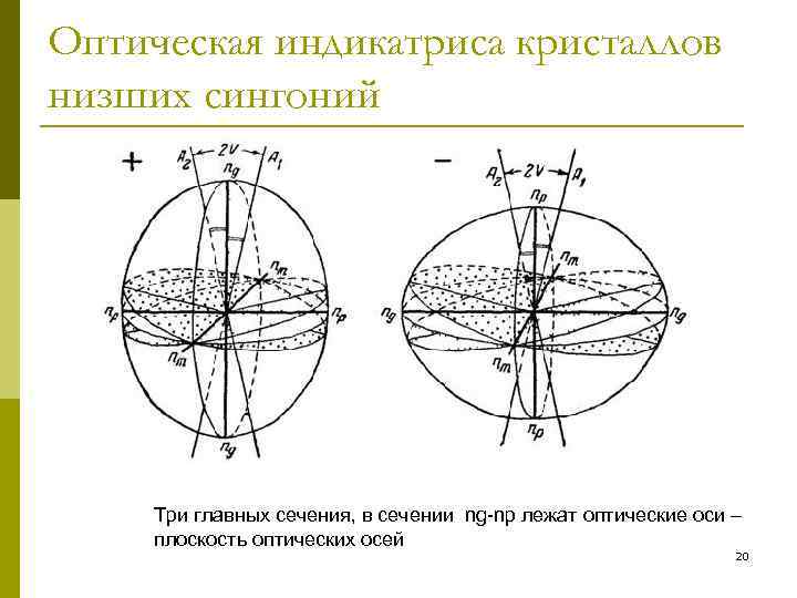 Оптическая индикатриса кристаллов низших сингоний   Три главных сечения, в сечении ng-np лежат