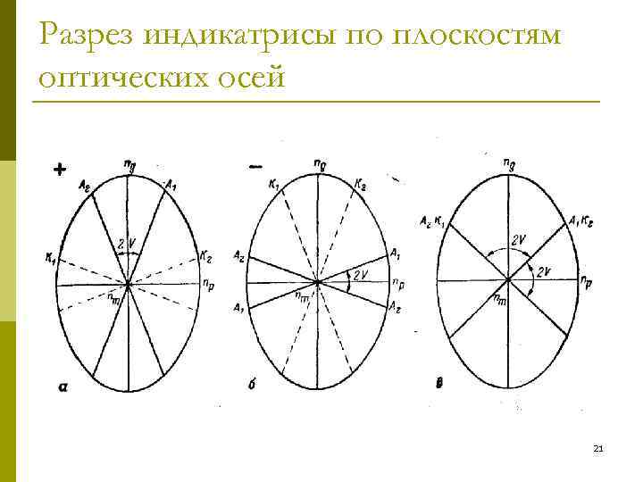 Разрез индикатрисы по плоскостям оптических осей    21 