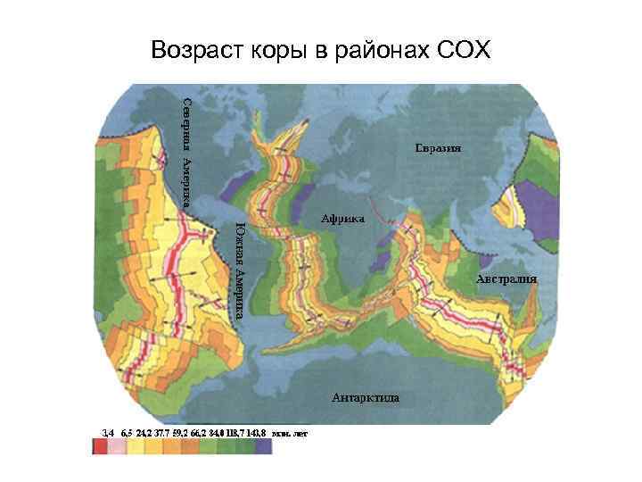 Возраст коры в районах СОХ 