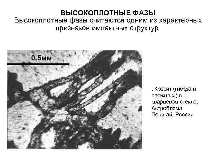   ВЫСОКОПЛОТНЫЕ ФАЗЫ Высокоплотные фазы считаются одним из характерных  признаков импактных структур.