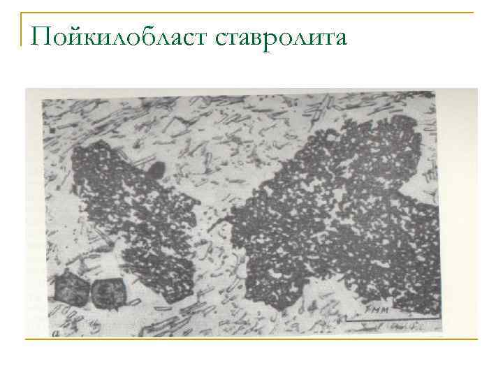 Пойкилобласт ставролита 
