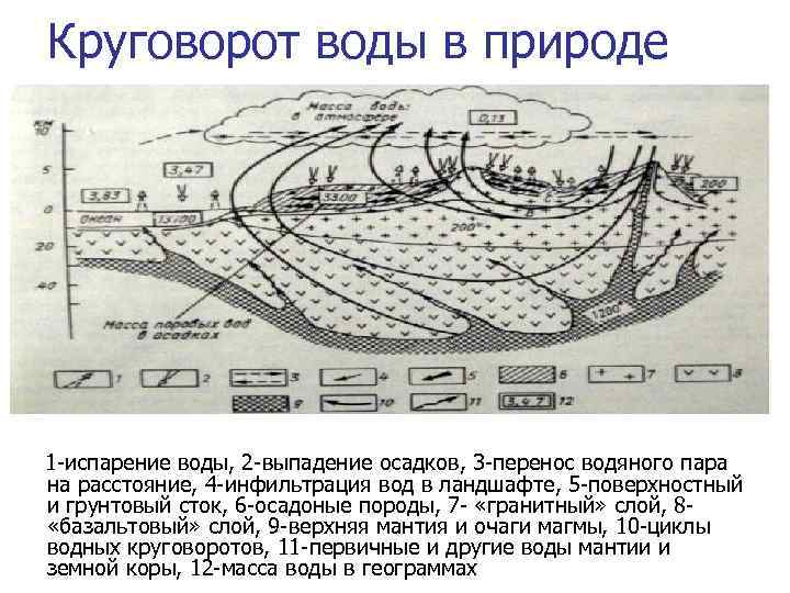 Закономерности испарения. Инфильтрация подземных вод. Инфильтрация воды в грунт. Общие закономерности водной миграции.