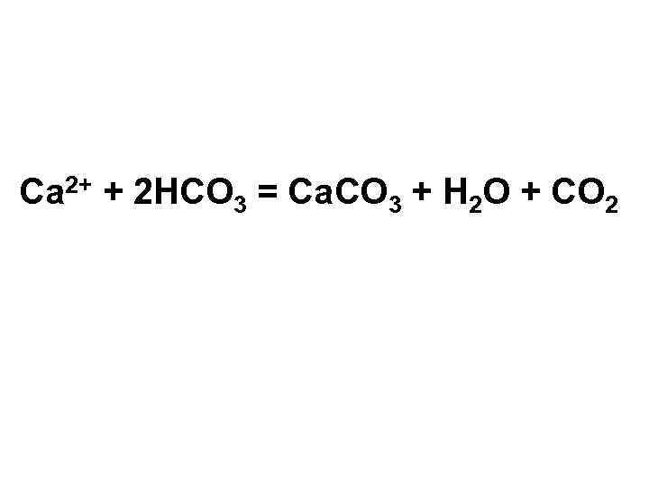 Ca 2+ + 2 HCO 3 = Ca. CO 3 + H 2 O