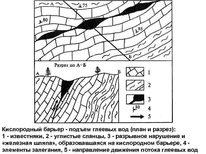 Кислородный барьер - подъем глеевых вод (план и разрез): 1 - известняки, 2 -