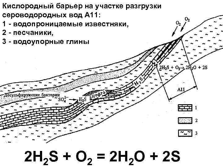 Кислородный барьер на участке разгрузки сероводородных вод А 11: 1 - водопроницаемые известняки, 2