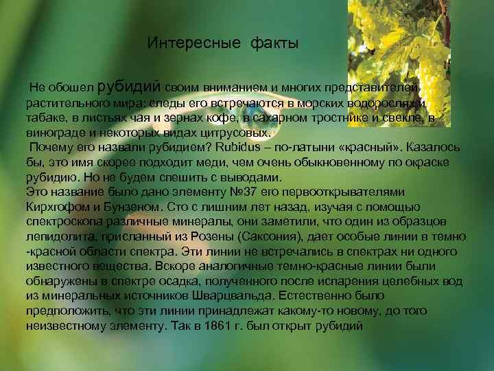     Интересные факты  Не обошел рубидий своим вниманием и многих