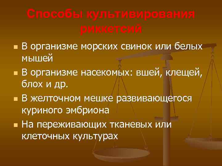   Способы культивирования  риккетсий n  В организме морских свинок или белых