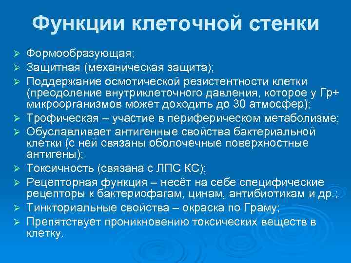   Функции клеточной стенки Ø  Формообразующая;  Ø  Защитная (механическая защита);